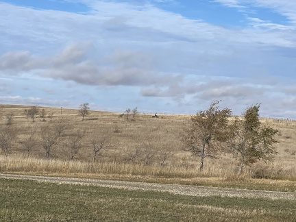 IMG 3550